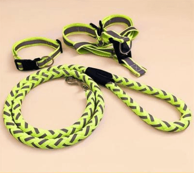 Neon green dog leash and collar set on a beige background