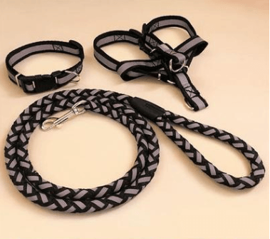 Padded Comfort Dog Leash - No-Pull Reflective Lead with Soft Grip Handle for Small, Medium & Large Dogs