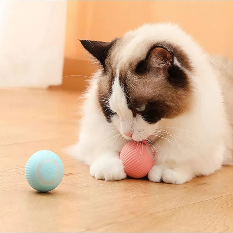 Automatic Rolling Cat Ball - Smart Interactive Electric Toy for Indoor Cats & Kittens