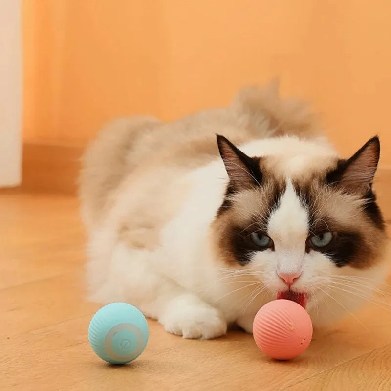 Automatic Rolling Cat Ball - Smart Interactive Electric Toy for Indoor Cats & Kittens
