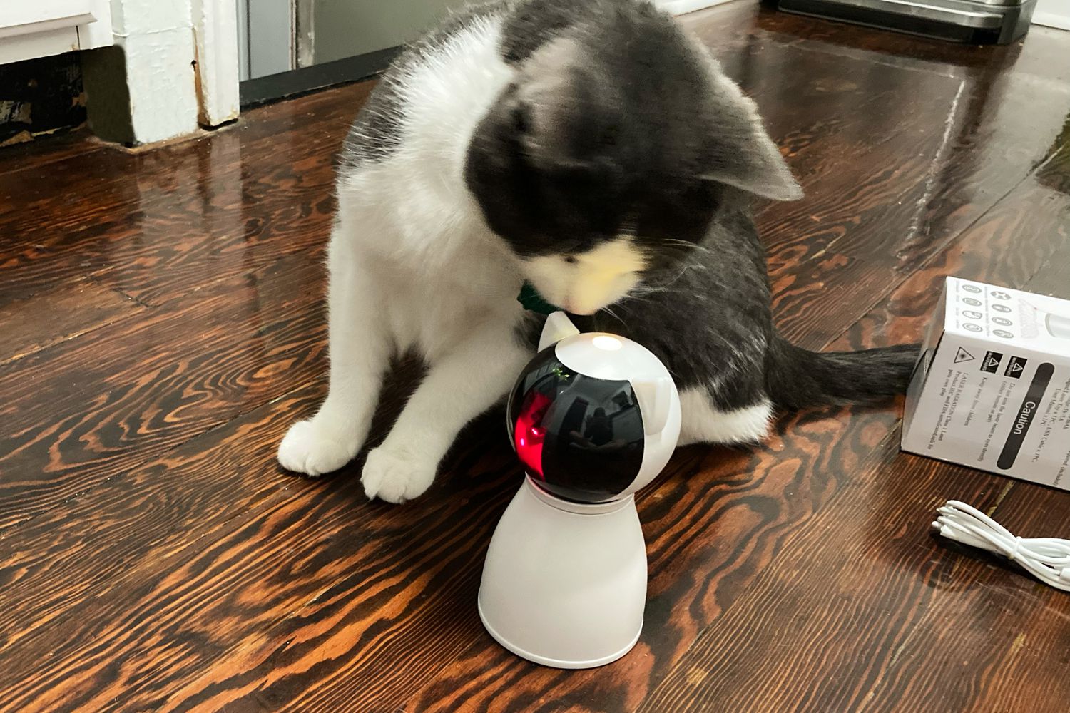 Keep Your Cat Entertained for Hours - Automatic Laser Toy with 5 Random Patterns (USB Rechargeable)