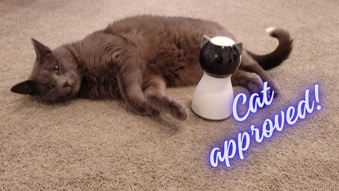 Keep Your Cat Entertained for Hours - Automatic Laser Toy with 5 Random Patterns (USB Rechargeable)