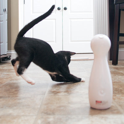Keep Your Cat Entertained for Hours - Automatic Laser Toy with 5 Random Patterns (USB Rechargeable)