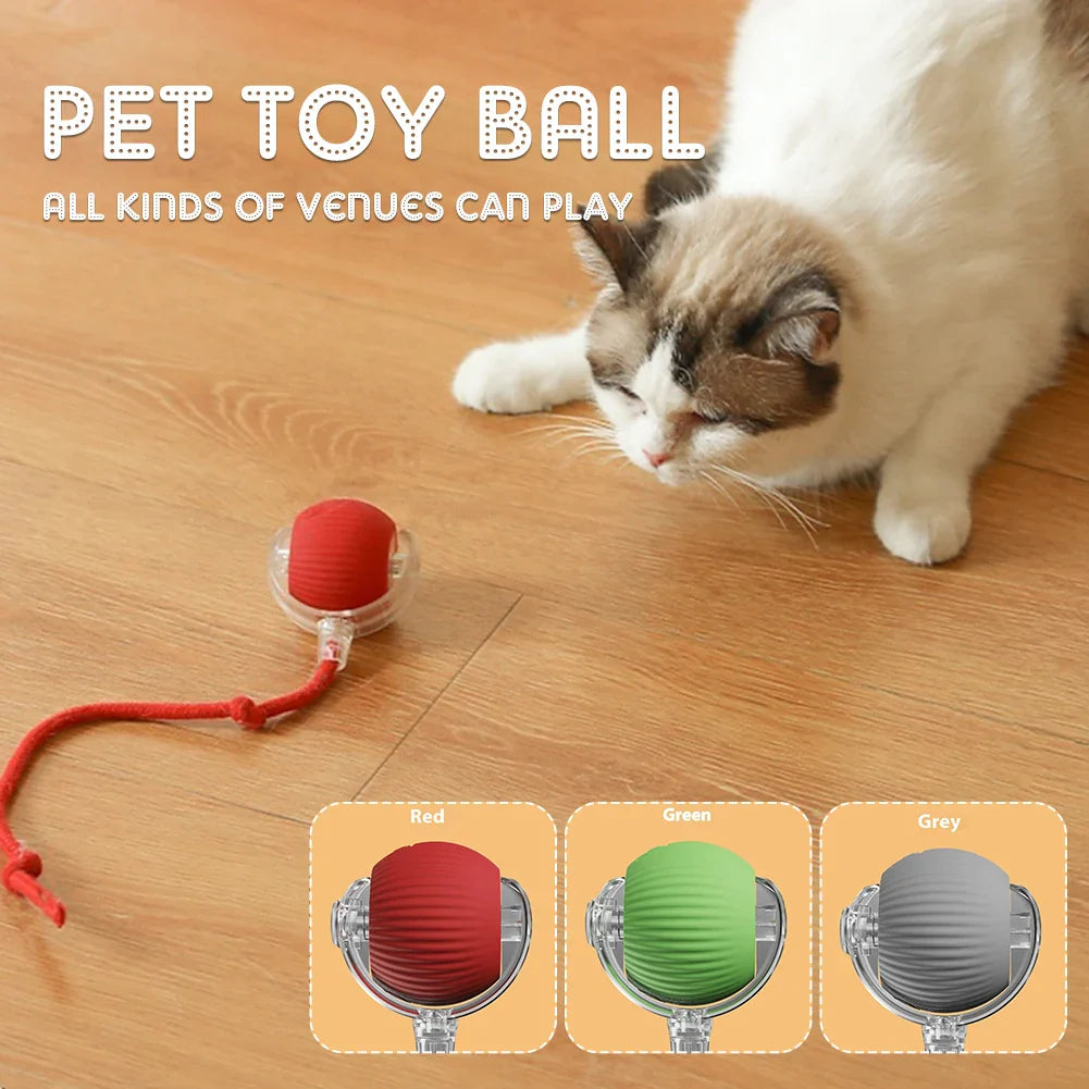 Smart Rechargeable Rolling Ball Toy - USB Interactive Self-Moving Pet Toy for Cats & Small Dogs