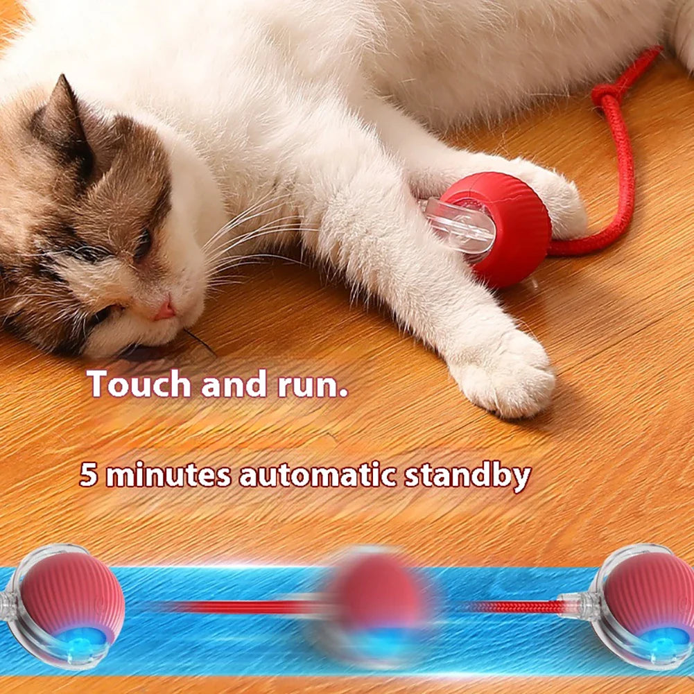 Smart Rechargeable Rolling Ball Toy - USB Interactive Self-Moving Pet Toy for Cats & Small Dogs