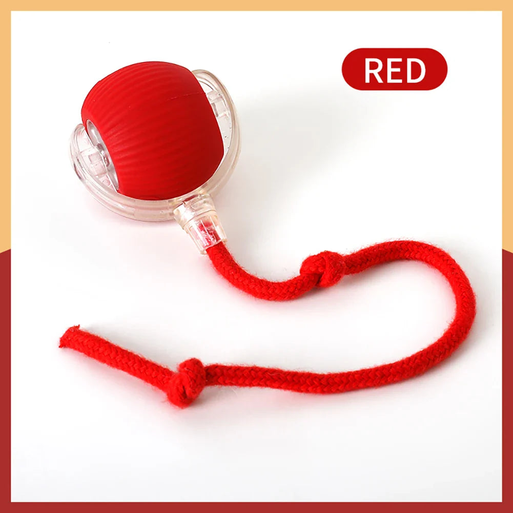 Smart Rechargeable Rolling Ball Toy - USB Interactive Self-Moving Pet Toy for Cats & Small Dogs