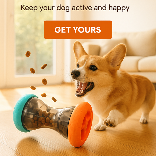Dog playing with a toy on a wooden floor, with text encouraging interaction.