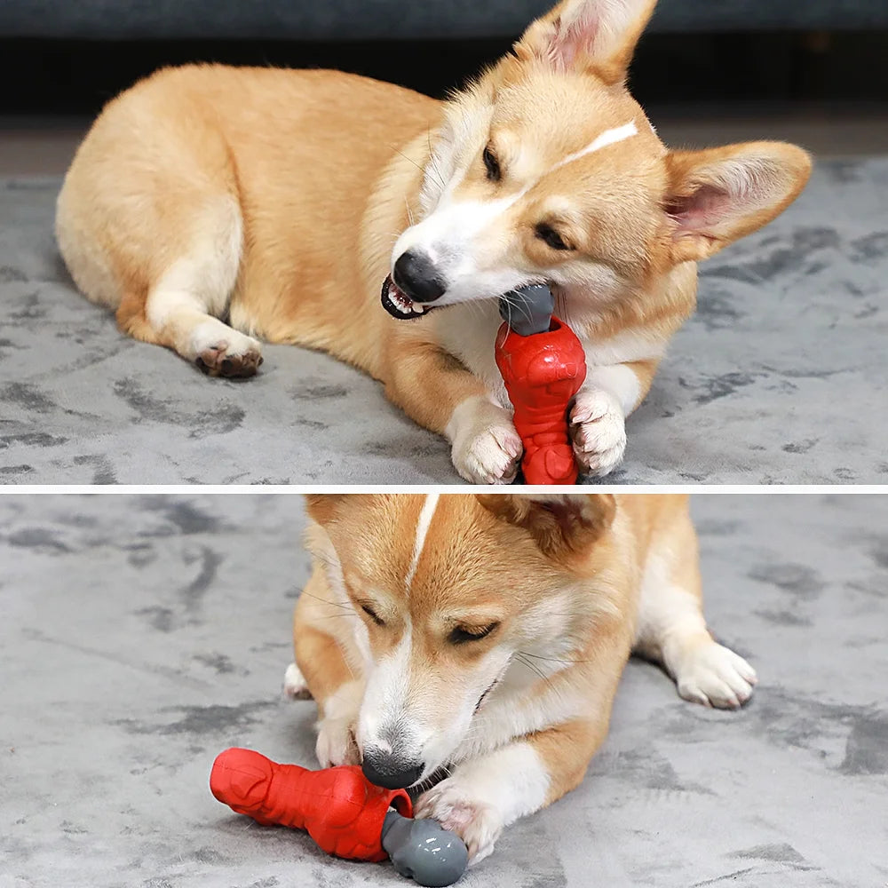 Skull Dog Toys– Durable Dog Toys for Aggressive Chewers & Chew Toy Non-Toxic Food Safe Natural Rubber